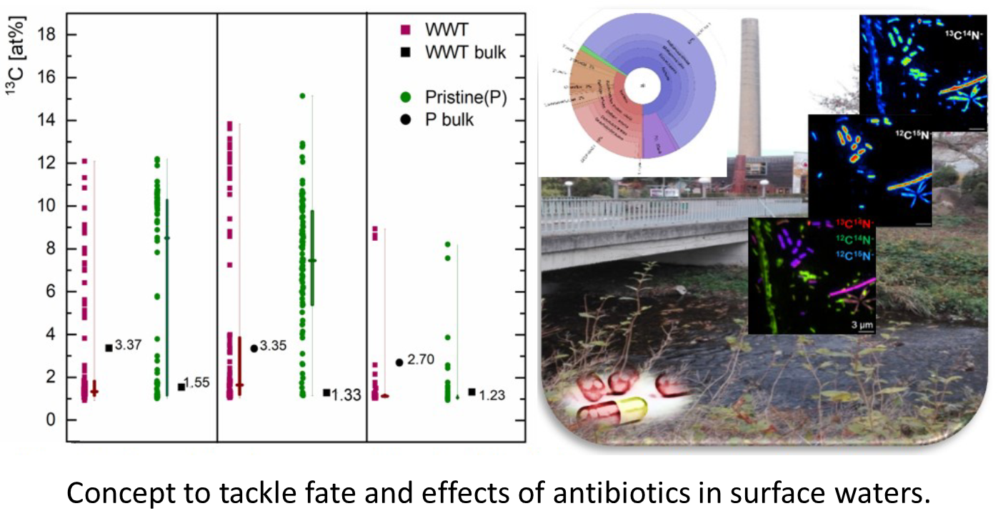 Concept to tackle fate and effects of antibiotics in surface waters.